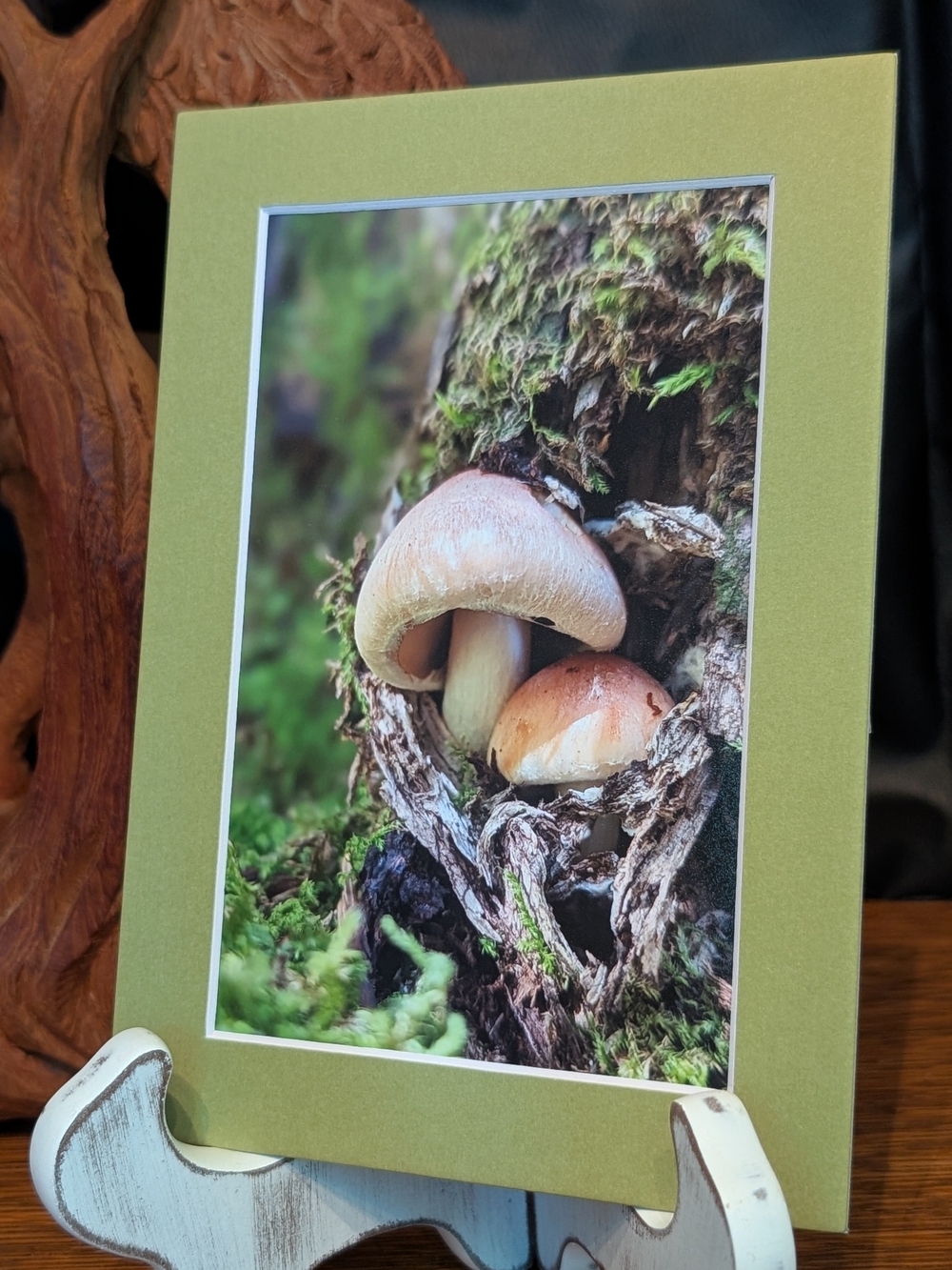 Original Photography Mushroom Love 5x7 Olive Green Matted Print
